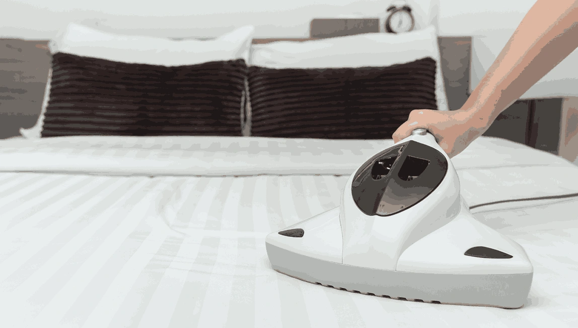 Professional Mattress Cleaning Box Hill